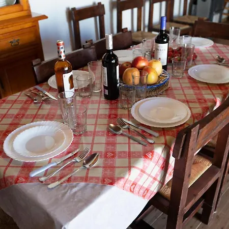 La Bodega * Alicante